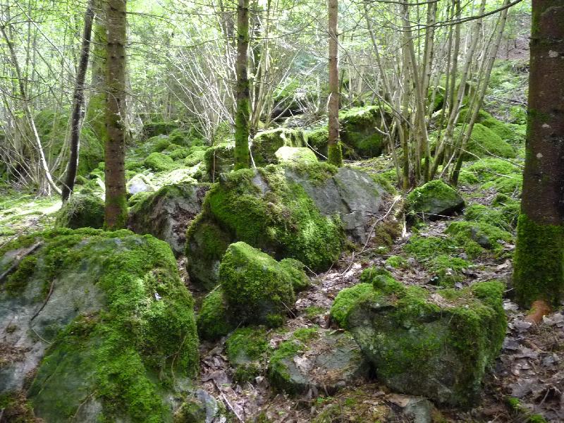 6 Rochers.JPG - JMPP du 1er juin 2008 - rochers